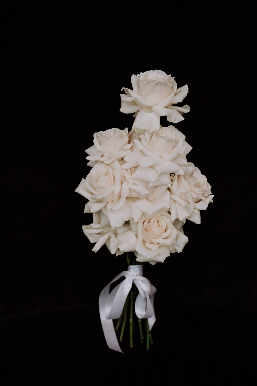Deutsch: Weißer langer Rosenstrauß mit weißer Schleife Englisch: White long roses bouquet with white bow